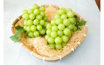 2026年度発送【定期便&nbsp;３回&nbsp;】秋からの人気フルーツ&nbsp;＃１