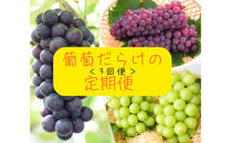 2026年度発送【定期便&nbsp;３回&nbsp;】葡萄だらけの定期便