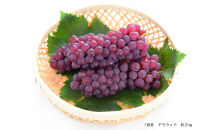 2026年度発送【定期便&nbsp;３回&nbsp;】葡萄だらけの定期便