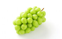 2026年度発送【定期便５回】 フルーツの王道６選便