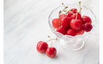 2026年度発送 【定期便５回】 美味しさランキング☆ベスト５