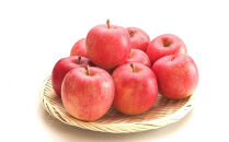 2026年度発送 【定期便５回】 美味しさランキング☆ベスト５