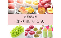 2026年度発送【定期便 ５回 】食べ尽し定期便A