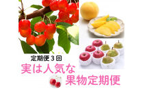 2026年度発送 【定期便3回】 実は人気な果物定期便