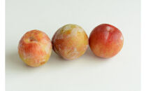 2026年度発送 【定期便3回】 すもも☆LOVE便