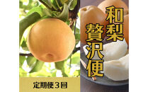 2026年度発送 【定期便3回】 和梨贅沢便