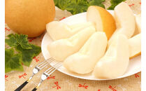 2026年度発送【定期便３回】６つの美味しさ満喫フルーツ便