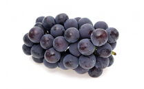 2026年度発送【定期便３回】６つの美味しさ満喫フルーツ便