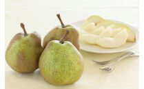 2026年度発送【定期便３回】６つの美味しさ満喫フルーツ便