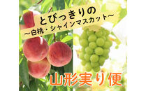 2026年度発送 【定期便２回】 とびっきりの～白桃・シャインマスカット～山形実り便