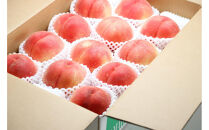 2026年度発送 【定期便２回】 とびっきりの～白桃・シャインマスカット～山形実り便