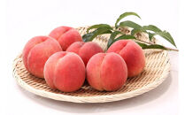 2026年度発送【定期便 ４回】「もも」から始まる　満足定期便＊２