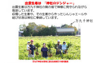 出雲生姜ぽかぽかセット