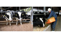 交美牛&nbsp;肩ロース焼肉用&nbsp;600g(300g×2P)