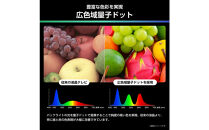 Hisense&nbsp;ハイセンス&nbsp;3年保証【設置費込み】43V型&nbsp;43U6R&nbsp;4K&nbsp;量子ドット&nbsp;2.1ch&nbsp;ダブル録画&nbsp;チューナー内蔵&nbsp;ゲームモード&nbsp;Pro&nbsp;ネット動画&nbsp;YouTube&nbsp;Netflix&nbsp;スマート&nbsp;2画面&nbsp;Alexa対応&nbsp;AirPlay2&nbsp;液晶&nbsp;テレビ&nbsp;TV&nbsp;2025年モデル&nbsp;壁掛け&nbsp;人気&nbsp;おすすめ&nbsp;家電&nbsp;送料無料