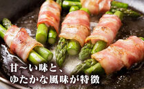 【先行予約】春収穫グリーンアスパラLサイズ（500g×6）約3.0kg（2026年6月上旬から発送開始予定）【 アスパラ アスパラガス 朝採り とれたて 野菜 旬 小分け 保存 産直 産地直送 お取り寄せ 旭川市 北海道 】_05533