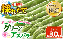 春収穫グリーンアスパラLサイズ（500g×6）約3.0kg（2026年6月上旬から発送開始予定）【&nbsp;アスパラ&nbsp;アスパラガス&nbsp;朝採り&nbsp;とれたて&nbsp;野菜&nbsp;旬&nbsp;小分け&nbsp;保存&nbsp;産直&nbsp;産地直送&nbsp;お取り寄せ&nbsp;旭川市&nbsp;北海道&nbsp;】_05533