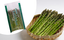 【先行予約】春収穫グリーンアスパラLサイズ（500g×5）約2.5kg（2026年6月上旬から発送開始予定）【 アスパラ アスパラガス 朝採り とれたて 野菜 旬 小分け 保存 産直 産地直送 お取り寄せ 旭川市 北海道 】_05532