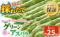 春収穫グリーンアスパラLサイズ（500g×5）約2.5kg（2026年6月上旬から発送開始予定）【&nbsp;アスパラ&nbsp;アスパラガス&nbsp;朝採り&nbsp;とれたて&nbsp;野菜&nbsp;旬&nbsp;小分け&nbsp;保存&nbsp;産直&nbsp;産地直送&nbsp;お取り寄せ&nbsp;旭川市&nbsp;北海道&nbsp;】_05532