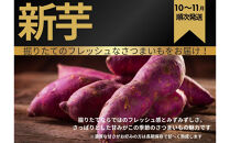 甘くてしっとり★さつまいも(紅はるか)5kg