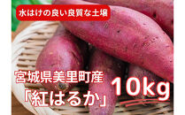 甘くてしっとり★さつまいも(紅はるか)10kg