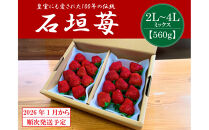 【2026年1月より順次発送】静岡特産・石垣苺　2L～4Lミックス 約280g×2パック★紅ほっぺ