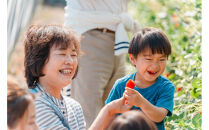 【2026年1月より順次発送】静岡特産・石垣苺　2L～4Lミックス&nbsp;約280g×2パック★紅ほっぺ