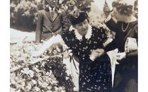 【2026年1月より順次発送】静岡特産・石垣苺　2L～4Lミックス&nbsp;約280g×2パック★紅ほっぺ