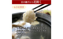 【先行予約】活き締め鱧（はも）セット（二人前～三人前）辛子酢味噌・ポン酢付き 湯引き 鱧しゃぶ