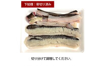 【先行予約】活き締め鱧（はも）セット（二人前～三人前）辛子酢味噌・ポン酢付き 湯引き 鱧しゃぶ