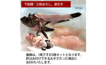 【三枚おろし（刺身用）】【先行予約】活き締めオコゼ2尾セット（2人前）ポン酢付き 虎魚 おこぜ 薄造り 唐揚げ