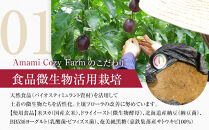 2026年先行受付【農薬・除草剤不使用】奄美大島産樹上完熟パッションフルーツ約１kg
