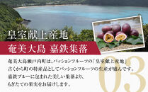 2026年先行受付【農薬・除草剤不使用】奄美大島産樹上完熟パッションフルーツ約１kg
