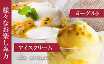 2026年先行受付【農薬・除草剤不使用】奄美大島産樹上完熟パッションフルーツ約１kg