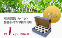 2026年先行受付【農薬・除草剤不使用】奄美大島産樹上完熟パッションフルーツ約１kg