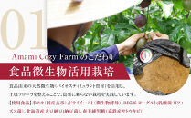 先行受付【農薬・除草剤不使用】奄美大島農家直送　樹上完熟パッションフルーツ約１kg&nbsp;|&nbsp;先行予約&nbsp;産地直送&nbsp;パッションフルーツ&nbsp;フルーツ&nbsp;果物&nbsp;南国&nbsp;新鮮&nbsp;甘み&nbsp;奄美大島