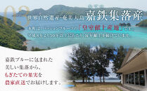 先行受付【農薬・除草剤不使用】奄美大島農家直送　樹上完熟パッションフルーツ約１kg&nbsp;|&nbsp;先行予約&nbsp;産地直送&nbsp;パッションフルーツ&nbsp;フルーツ&nbsp;果物&nbsp;南国&nbsp;新鮮&nbsp;甘み&nbsp;奄美大島