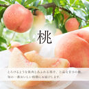 【全2回&nbsp;定期便】&nbsp;紀州和歌山産旬のフルーツセット（8月：桃約1.8kg・9月：梨約2kg）&nbsp;［UT139］