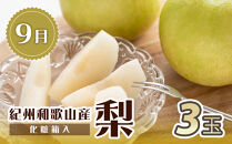 【全2回&nbsp;定期便】&nbsp;紀州和歌山産旬のフルーツセット（8月：桃3玉・9月：梨3玉）&nbsp;［UT141］