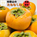 《先行受付・2026年10月～発送》和歌山のたねなし柿&nbsp;約2kg&nbsp;［MS131］