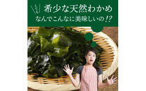 便利で嬉しい！国東カットわかめを大漁60パック_0005N-2