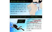 便利で嬉しい！国東カットわかめを大漁60パック_0005N-2