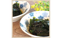 便利で嬉しい！国東カットわかめを大漁60パック_0005N-2