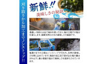 便利で嬉しい！国東カットわかめをおためし20パック_0005N-3