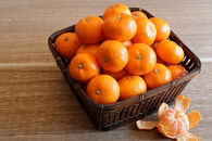 【先行予約・年明け配送】令和8年1月から出荷開始&nbsp;/&nbsp;荒木一番みかん約3kg_2305R-2