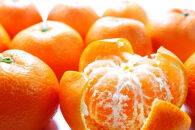 【先行予約・年明け配送】令和8年1月から出荷開始&nbsp;/&nbsp;荒木一番みかん約3kg_2305R-2