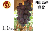 家庭用&nbsp;藤稔　1.0kg以上&nbsp;2房&nbsp;朝採れ&nbsp;ぶどう&nbsp;葡萄&nbsp;&nbsp;Kawahara&nbsp;Green&nbsp;Farm　岡山県産　2026年