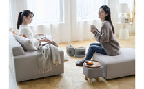 セラミックファンヒーター&nbsp;ACH-MN12A-H&nbsp;グレー