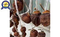 【先行予約】新潟佐渡産干し柿　20～25個入