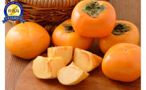 【先行予約】【さわし柿】新潟佐渡産柿５ｋｇ　